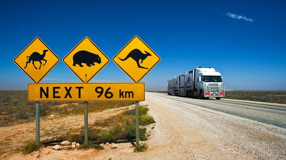 Ein Straßenschild auf einer befahrenen Straße zeigt Kangurus und andere Wildtiere. Mensch-Tier-Konflikte werden zahlreicher.  | Bild: colourbox.com