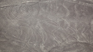 Die Nazca-Figur "Affe" in Peru. Die Nazca-Linien sind riesige Scharrbilder, sogenannte Geoglyphen, in der Wüste bei Nazca in Peru. Die Deutsche Maria Reiche hat dazu beigetragen, sie zu bewahren. In Peru kennt sie deshalb jeder. | Bild: picture-alliance/dpa/KEYSTONE
