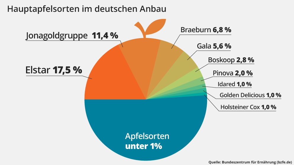Infografik: Apfelsorten im deutschen Anbau | Bild: BR