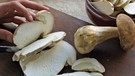 Pilze werden in der Küche in Scheiben geschnitten. Pilze - abgesehen von giftigen Pilzsorten - sind gesund und können zu einer ausgewogenen Ernährung beitragen.  | Bild: colourbox.com