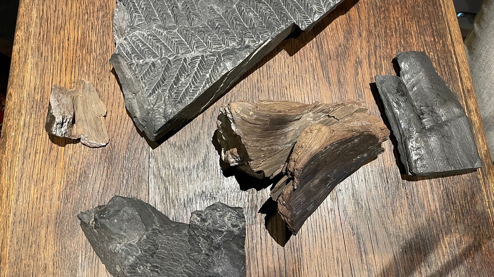 Braunkohle, Steinkohle, Holzkohle: verschiedene Arten von Kohle | Bild: BR/Bernhard Kastner