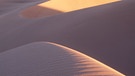 Mojave-Wüste in Nevada/USA | Bild: picture-alliance/dpa