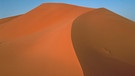 Sanddüne in der Sahara-Wüste. Sand, Wind und Schwerkraft - das sind die drei Hauptfaktoren für die Bildung von beeindruckend geformten Sanddünen in Wüsten. | Bild: picture-alliance/dpa