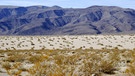 Steppenähnliche Vegetation des Panamint Valley in der kalifornischen Wüste.Wie entstehen Wüsten weltweit? Wüsten sind ein faszinierender Lebensraum für eine besondere Tier- und Pflanzenwelt. Hier erfahrt ihr mehr über die trockensten Gebiete der Erde.  | Bild: picture-alliance/dpa