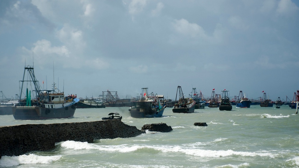 16 große Fischerboote stechen in See und laufen in der Region Beihai, Guangxi Zhuang, China aus dem Hafen aus. Fischbestände sind weltweit gefährdet. Dabei wäre es leicht, etwas gegen die Überfischung zu unternehmen.  | Bild: picture alliance/dpa/MAXPPP/Zhai Li Qiang