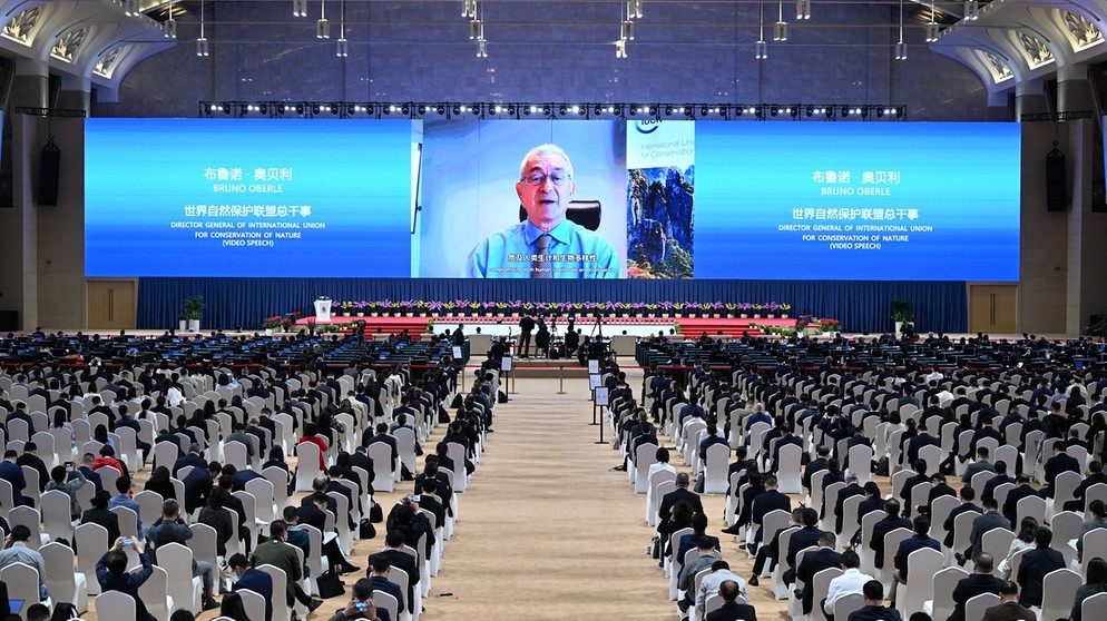 Bruno Oberle,  geschäftsführender Generaldirektor der Weltnaturschutzorganisation IUCN, während einer digital zugeschalteten Rede auf einem Kongress im Jahr 2021 in Kunming, China. | Bild: picture alliance /Xinhua News Agency/Chen Yehua