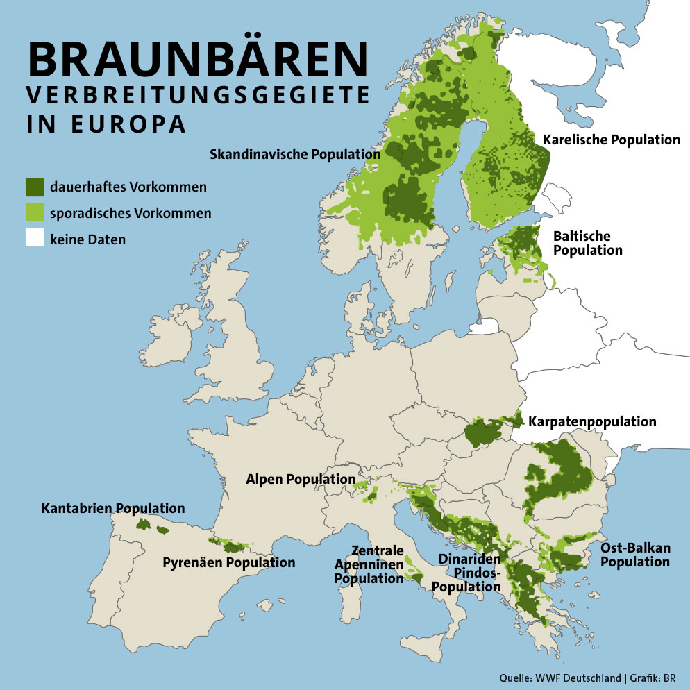 Infografik: Verbreitungsgebiete des Braunbären in Europa | Bild: WWF Deutschland; Grafik BR