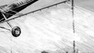 Hubschraubereinsatz gegen die Maikäferplage (1952). Wie lange leben Maikäfer? Wie werden aus den Larven, sogenannten Engerlingen, Käfer? Was fressen sie und sind Maikäfer Schädlinge? Hier erfahrt ihr mehr. | Bild: picture-alliance/dpa