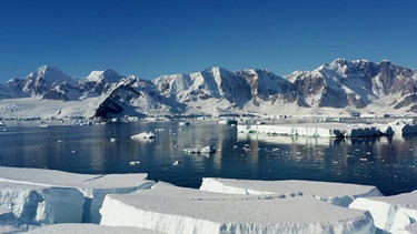 In den Polargebieten Arktis und Antarktis lagern noch etwa 30 Millionen Kubikkilometer Eis. Doch dieses Eis schmilzt teilweise rapide. | Bild: BR/Shutterstock/arte/mobyDOK