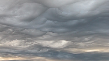 Wolkenformation ziehen am 20.02.2004 über den Shorewell Park in Tasmanien (Australien). Meteorologen haben eine neue Wolkenform anerkannt: die Wolkenart Volutus. Sonnenschein, Regen oder Gewitter: Wolken haben einen Einfluss auf das Wetter. Es gibt zehn Wolkengattungen und vier Wolkenfamilien. Auch Winde können die Wolkenbildung beeinflussen. Zudem wird untersucht, welchen Einfluss Wolken auf das Klima haben. | Bild: picture alliance / Gary McArthur/WMO/dpa | Gary McArthur