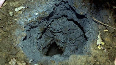 Einschlagloch eines kleineren Meteoriten | Bild: picture-alliance/dpa