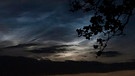Leuchtende Nachtwolken am 4. Juli über Medingen/Niedersachsen gegen 22 Uhr aufgenommen. | Bild: Michael Mantel