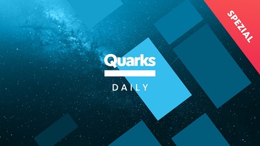 Coverbild von Quarks Daily | Bild: WDR