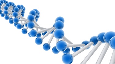 Ein DNA-Strang. Forschende wollen für den Artenschutz auch Gentechnik einsetzen.  | Bild: colourbox.com