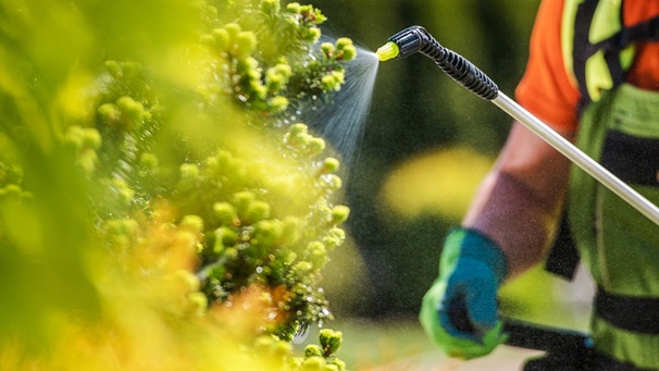 Ein Arbeiter in Schutzkleidung sprüht Pestiziddünger auf eine Pflanze | Bild: colourbox.com