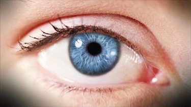 Auge mit blauer Iris | Bild: NDR