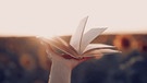 Ein ausgestreckter Arm hält ein Buch in der Hand. Auch im Erwachsenenalter können Menschen noch Lesen und Schreiben lernen. | Bild: colourbox.com