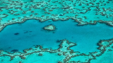 Der Ozean von oben. Ein Korallenriff schimmert durch das blaue Wasser hindurch. Korallenriffe sind wichtig für die Biodiversität. | Bild: colourbox.com