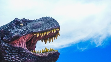 Eine Illustration zeigt den Kopf eines Dinosauriers. Das gegenwärtige Artensterben gilt als größtes Massensterben seit den Dinosauriern. | Bild: colourbox.com