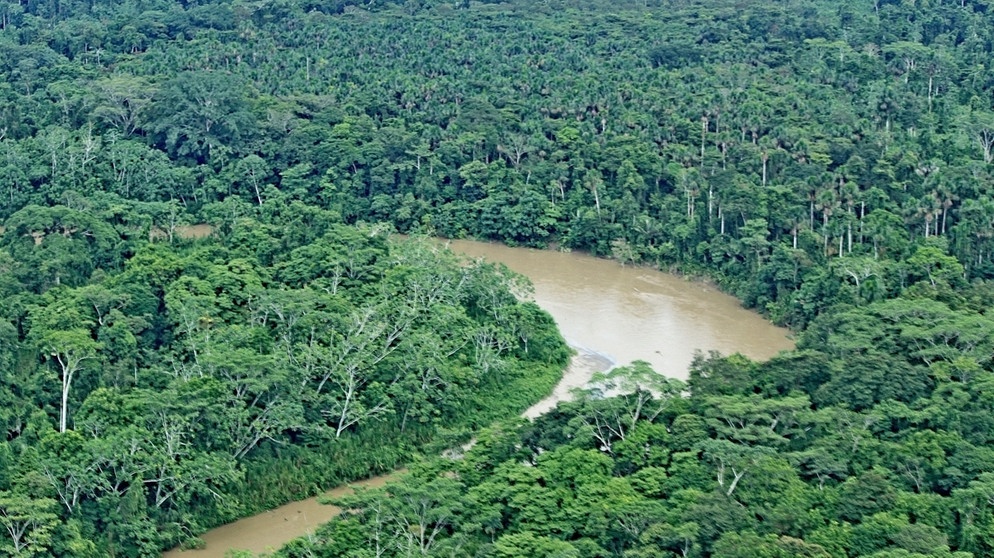 Der Amazonas-Regenwald von oben: Einem aktuellen Bericht zufolge werden die Schutzgebiete von Regenwald, Auen und Flüsser größer. Dennoch gibt es viele Defizite. | Bild: colourbox.com