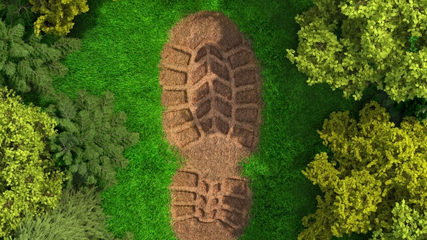 Ein riesiger Fußabdruck im Wald aus der Vogelperspektive. Klimawandel und Biodiversität beeinflussen sich gegenseitig. | Bild: colourbox.com