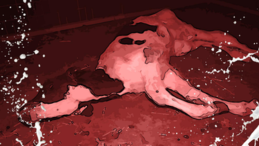 Blutige Milch - Geschäfte mit Tierleid: Kühe müssen vielerorts schlimmes Leid erfahren.  | Bild: BR