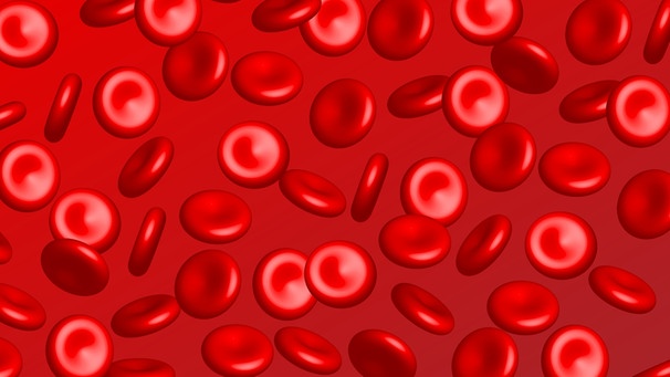 Blutkörperchen. | Bild: colourbox.com