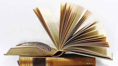 Eine Schreibfeder liegt in einem offenen Buch. Der Buchdruck revolutionierte Bildung und Schrift. | Bild: colourbox.com