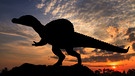 Dinosaurier faszinieren nicht nur Paläontologen und andere Wissenschaftler. In Form von Fossilien verraten sie uns viel über Urzeit und Geschichte. Wie haben sie gelebt und ausgesehen - und warum sind sie ausgestorben? | Bild: colourbox.com