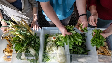 Ehrenamtliche Helfer sortieren in einer Foodsharing-Station Lebensmittel. In der Station werden übriggebliebene Lebensmittel aus dem Einzelhandel gesammelt, die dann von Menschen unentgeltlich mitgenommen werden können. | Bild: dpa-Bildfunk/Marijan Murat