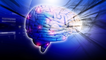 Darstellung eines Gehirns | Bild: colourbox.com