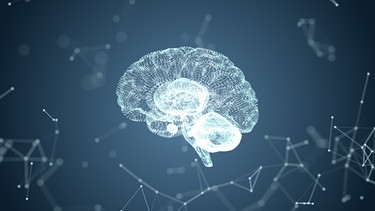 Symbolbild: Gehirn, Nervenzellen, Kontaktpunkte | Bild: colourbox.com