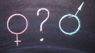 Gendersymbole für männlich und weiblich an einer Tafel, dazwischen ein Fragezeichen. | Bild: colourbox.com
