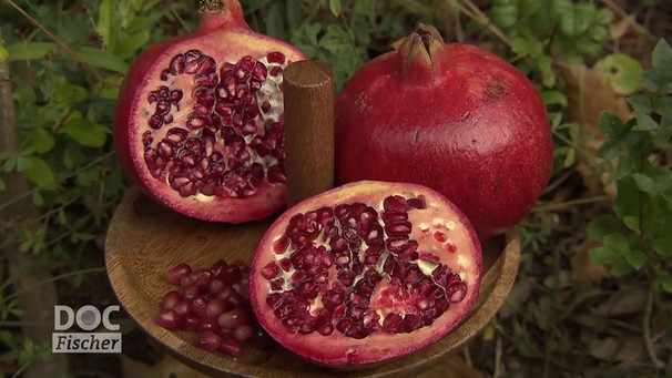 Der Granatapfel - wie gesund ist er wirklich? | Bild: SWR