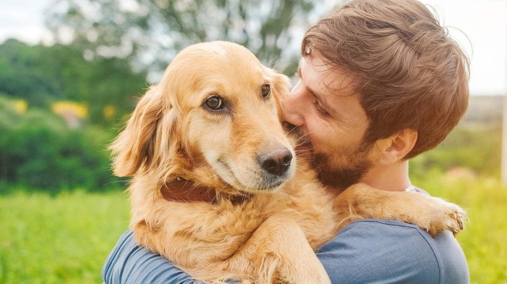 Tiertherapien und Medikamente: Wie uns Haustiere helfen können. | Bild: iStock