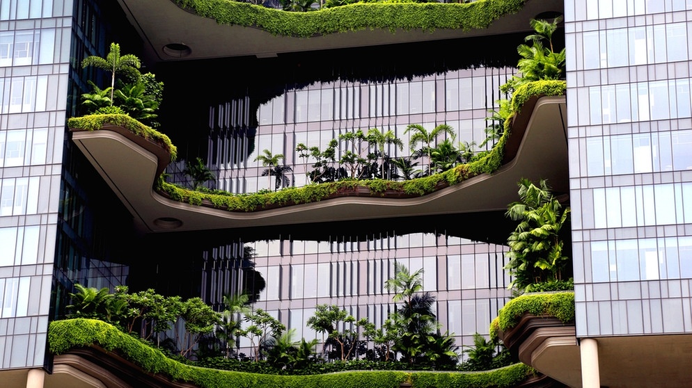 Auf den Balkonen eines Hotels in Singapur sind Pflanzen und Palmen angepflanzt. Hitze wird besonders in Städten immer stärker zum Problem. Pflanzen und Bäume können Hitze in Städten reduzieren. | Bild: picture-alliance/dpa