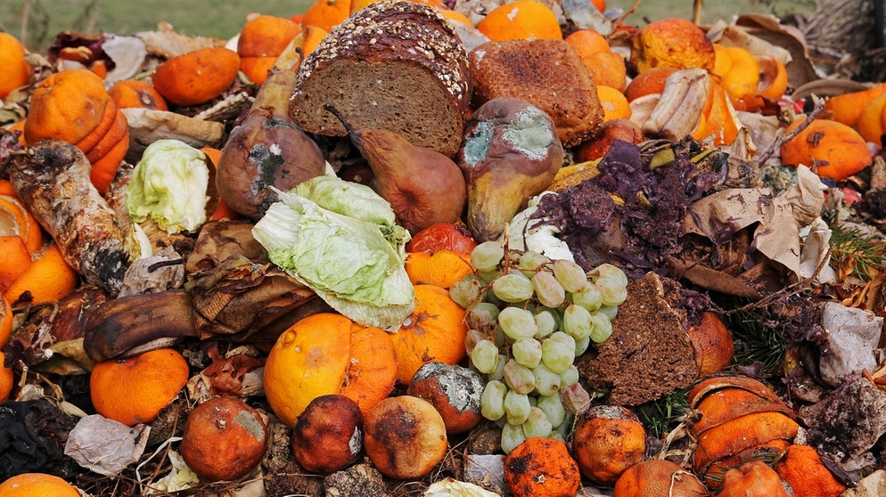 Weggeworfenes Obst und Brot auf dem Bio-Müll. Rund 13 Millionen Tonnen Nahrung pro Jahr landen allein in Deutschland im Müll statt auf dem Teller. Die Lebensmittelverschwendung hat gravierende Folgen für die Umwelt. | Bild: colourbox.com, Astrid Gast