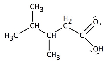 Formel 3,4-Dimethylpentansäure | Bild: Christopher Müller