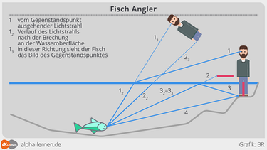 Grafik: Blick eines Fisches auf einen teilweise im Wasser stehenden Angler. | Bild: BR