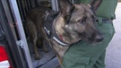 Polizeihund Anka | Bild: BR