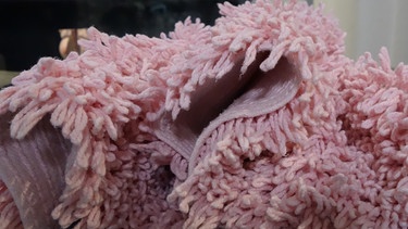 Zottenmodell-Teppich rosa | Bild: BR