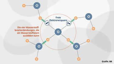 Grafik: die vier Brückenbindungsarten an ein Wassermolekül | Bild: BR
