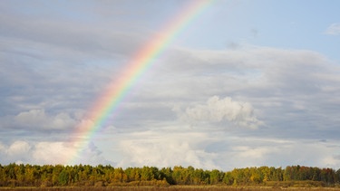 Regenbogen am Himmel | Bild: colourbox.com