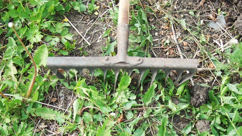 Ein Rechen wird bei der Gartenarbeit durch Erde gezogen | Bild: colourbox.com