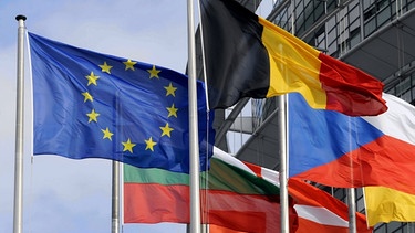 Flaggen vor dem EU-Parlament in Straßburg | Bild: picture-alliance/dpa