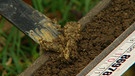 Ein Bodenprofil wird auf Humus und Feuchtigkeit untersucht | Bild: BR
