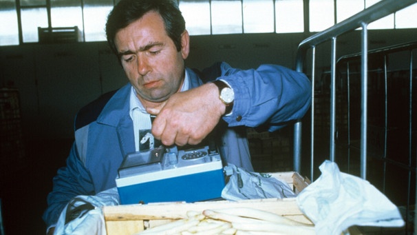 Mit einem Geigerzähler wird im jahr 1986 die radioaktive Belastung von Spargel geprüft | Bild: picture-alliance/dpa