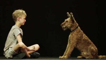 Ein Junge und ein Hund sitzen sich gegenüber. | Bild: WDR
