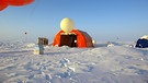 Polarforschung in der Arktis, Potsdamer Wissenschaftler | Bild: picture-alliance/dpa