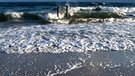 Symbolbild: Wellen an einem Ostseestrand | Bild: picture-alliance/dpa
